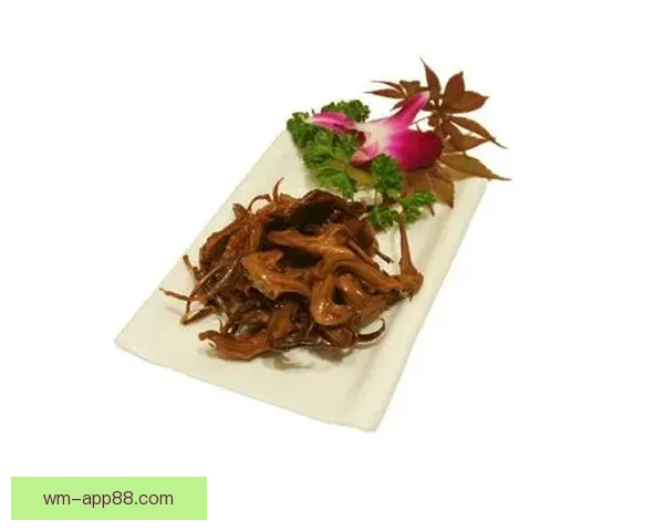 完美体育世界杯精彩赛事全攻略与投注技巧详解