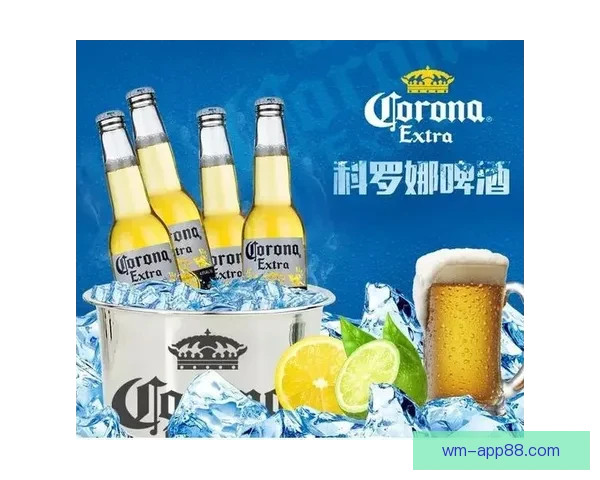 世界杯竞猜在线平台全新攻略助你轻松赢取赛事大奖