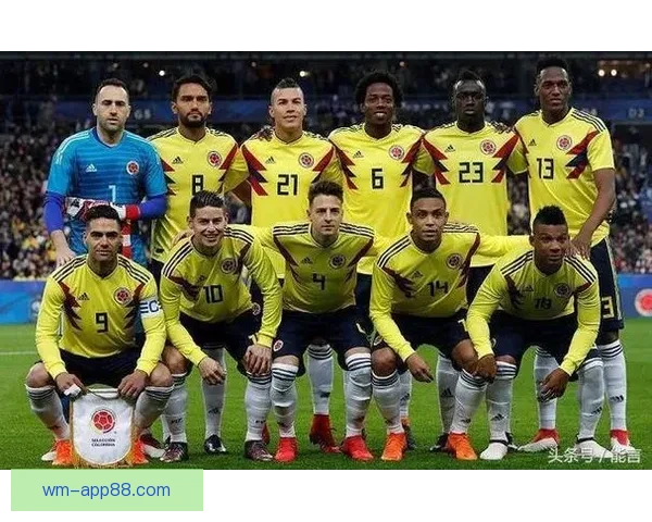 世界杯胜负竞猜预测指南：揭示赛场上的潜力黑马与强队对决分析